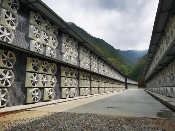 Expansive solar-panel-covered mining farm boosting hash rates sustainably