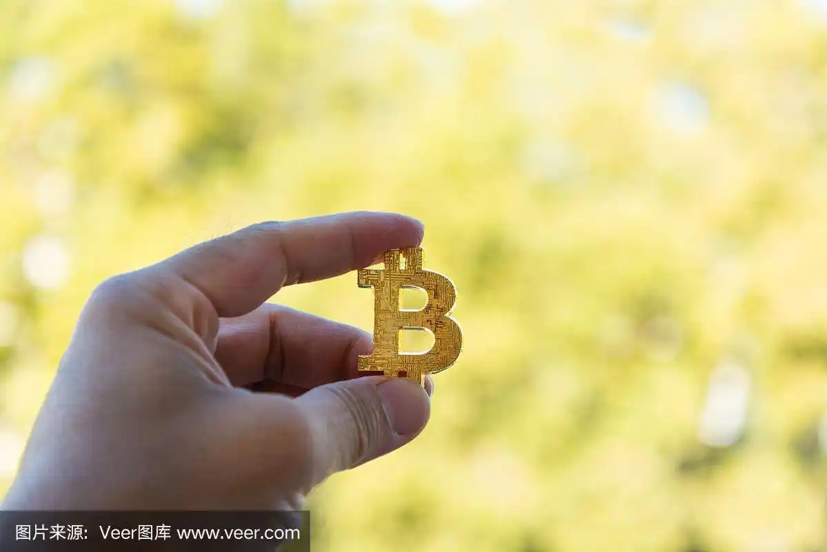 Bitcoin price fluctuations are a significant risk in mining.
